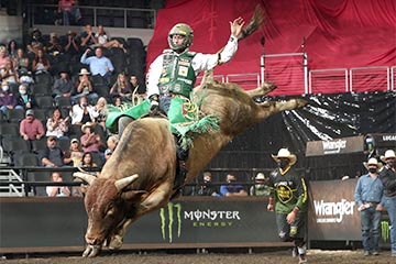 Pro Bull Riding (PBR)
